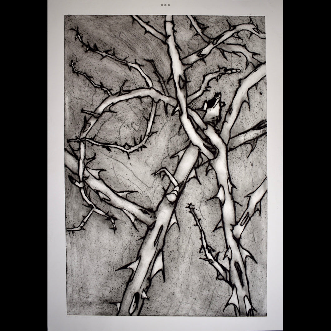 Hybenrose I - grafisk tryk