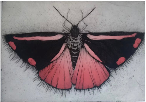 Blodplet sommerfugl - grafisk tryk