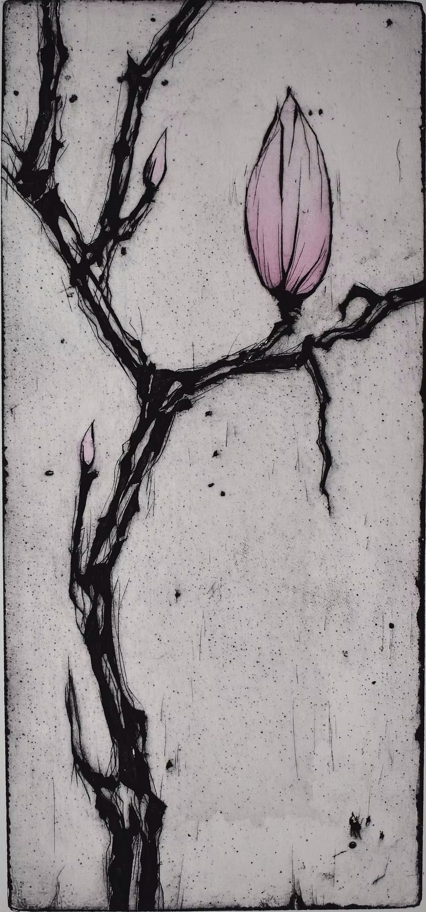 Magnolia I - grafisk tryk