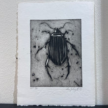 Biller - grafisk tryk