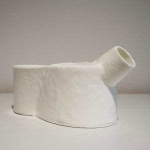 Hybrid kande i benporcelæn