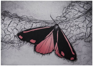 Blodplet sommerfugl - grafisk tryk
