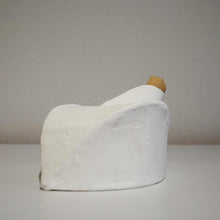 Hybrid kande i benporcelæn