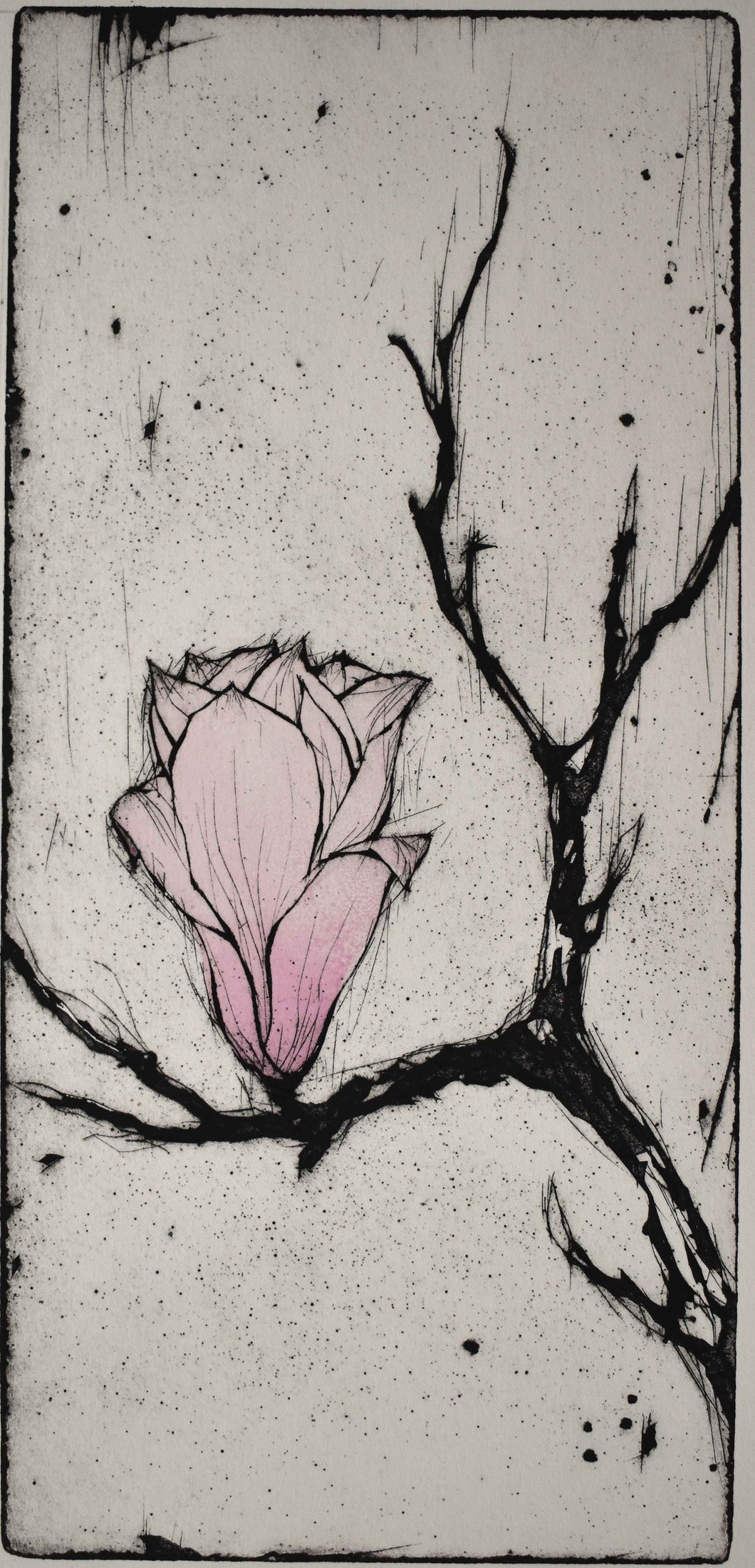 Magnolia II- grafisk tryk