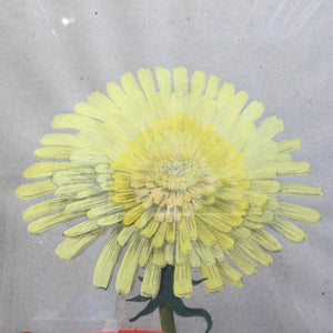 Lea Hebsgaard Andersen - ‘Gul blomsterbinder’ - original tegning