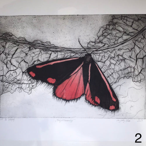 Blodplet sommerfugl - grafisk tryk - 2