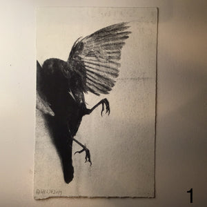 Blackbird og Bye bye blackbird - grafisk tryk