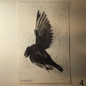 Blackbird og Bye bye blackbird - grafisk tryk