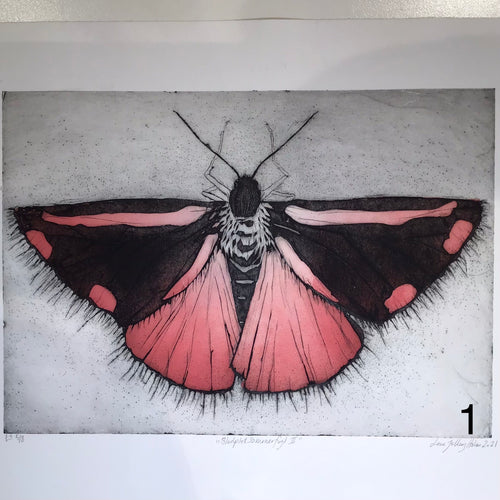 Blodplet sommerfugl - grafisk tryk - 1